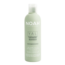 Noah — Yal