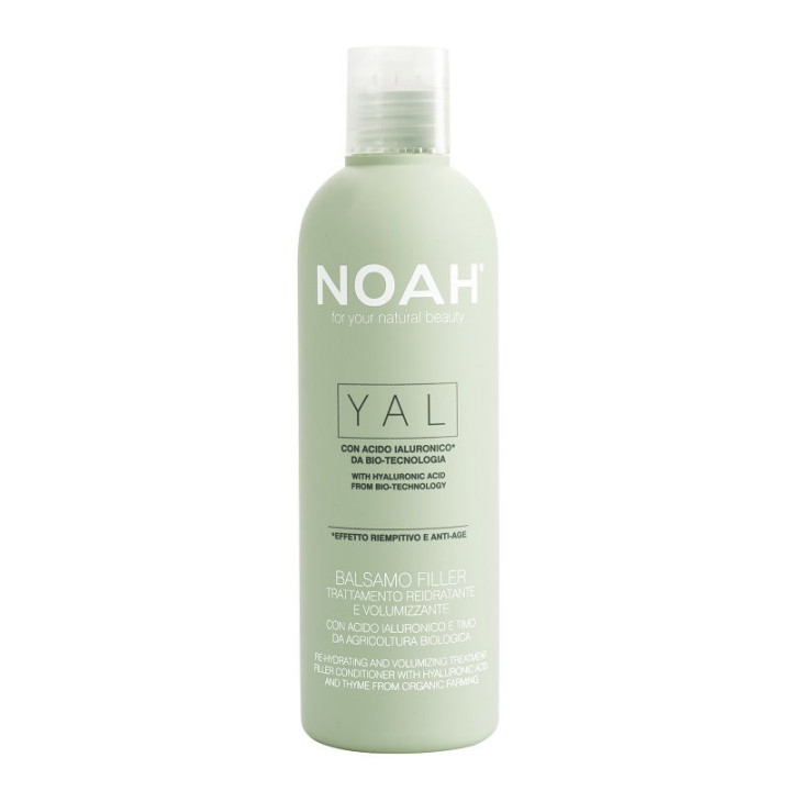 Noah — Yal